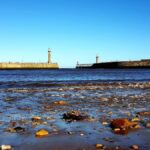 Dog friendly beaches in Whitby