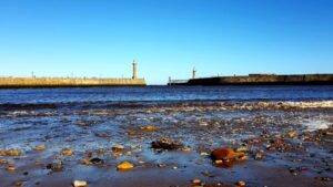Dog friendly beaches in Whitby