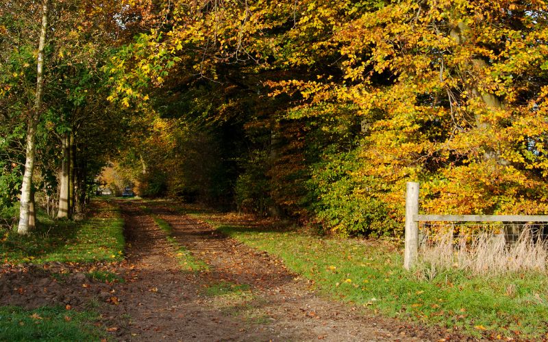 Trail running off Stoneclose Campsite near to Dalby Forest.