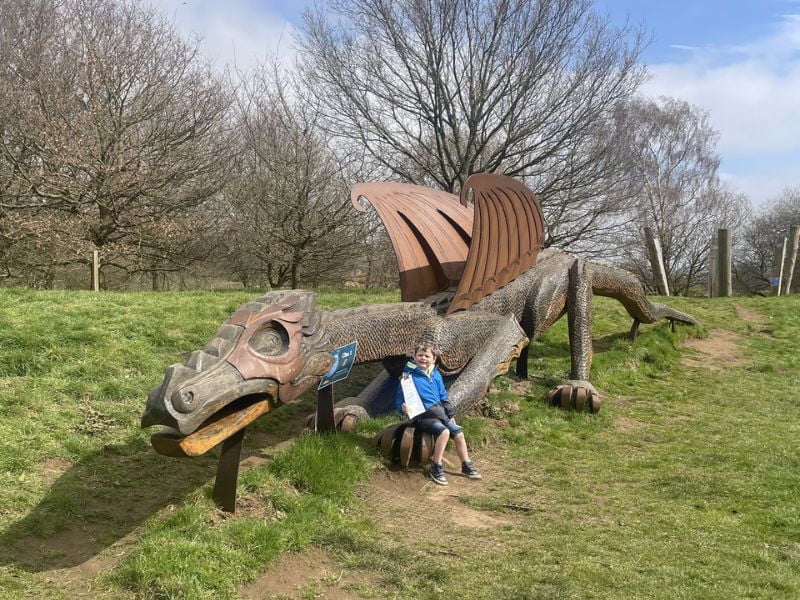 Dragon at Danby Lodge Dragon at Danby Lodge