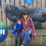 Sea Life Scarborough Review
