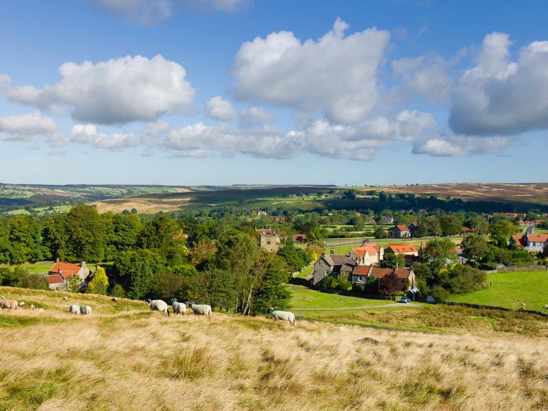 Goathland- Goathland is a moorland village located on the eastern edge of the North York Moors National Park.