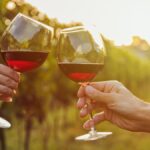 Yorkshire Vineyards