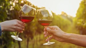 Yorkshire Vineyards