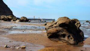 Whitby Rock Pooling