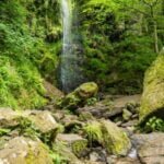 Mallyan Spout Waterfall