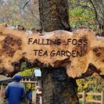 Tea Rooms in the North York Moors