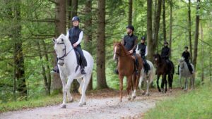 Horse Riding In And Around Whitby