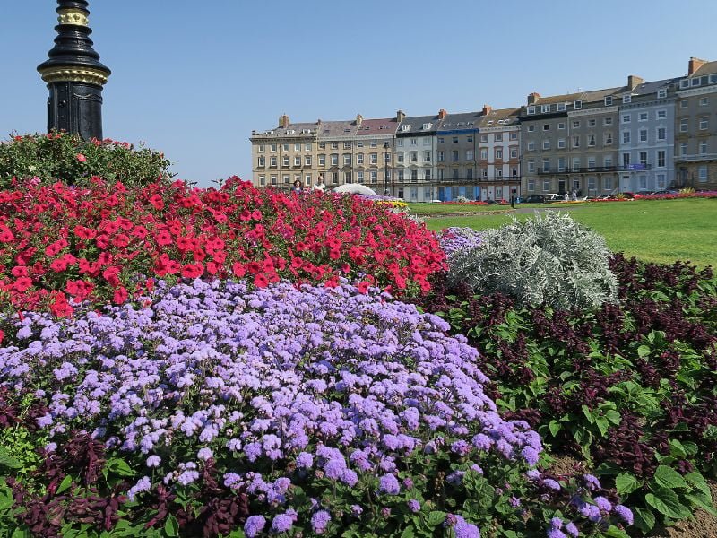 Crescent gardens Whitby.