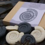 Fossil soaps