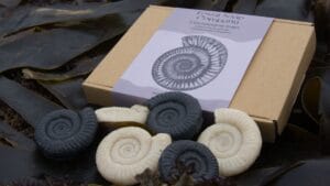 Fossil soaps