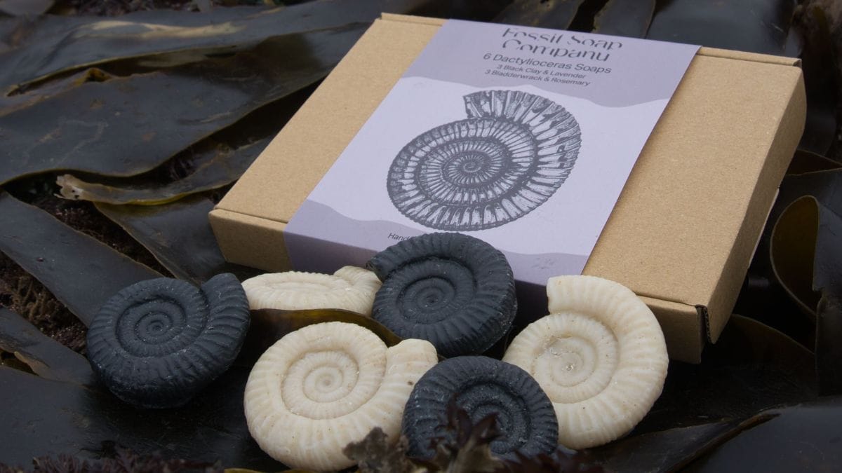 Fossil soaps