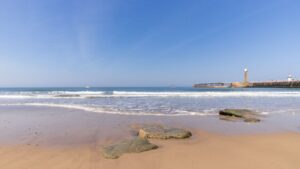 Is It Safe To Swim In The Sea at Whitby