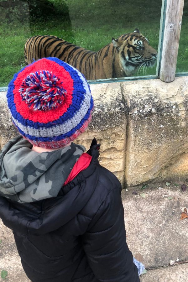 Flamingo Land Flamingo Land Tiger.