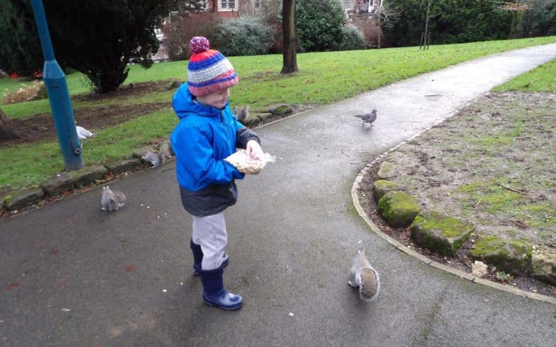 Little-boy-feeding-squirrels-in-Pannett-Park Little boy feeding squirrels in Pannett Park.