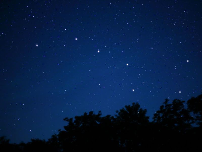 Dark-Sky-Discovery-Site Dalby Forest a DArk Skies Discovery Site.
