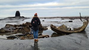 Hidden Beaches in Yorkshire