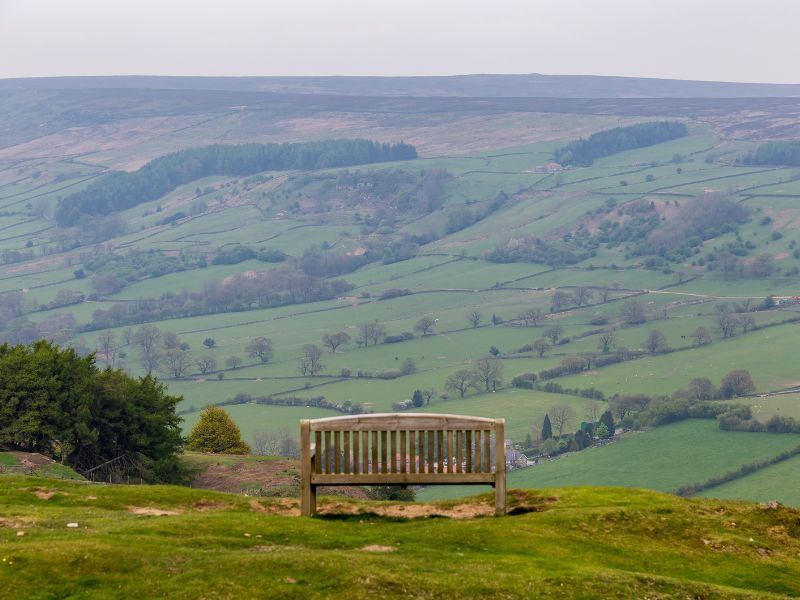 Rosedale Chimney Bank top Rosedale Chimney Bank top.
