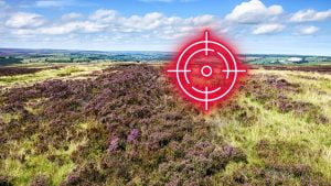 North York Moors