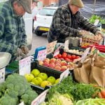 Saltburn Famer's Market.