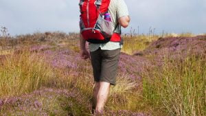 Short Walks North York Moors.