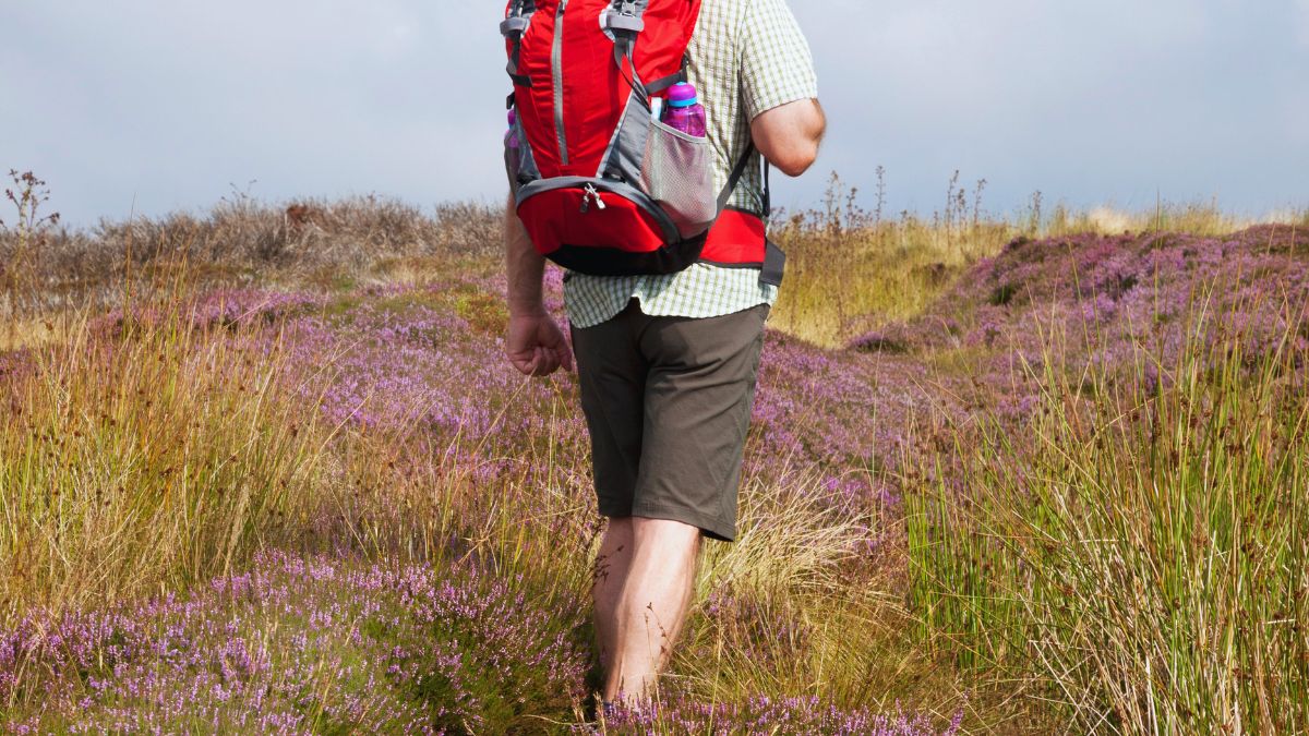 Short Walks North York Moors.