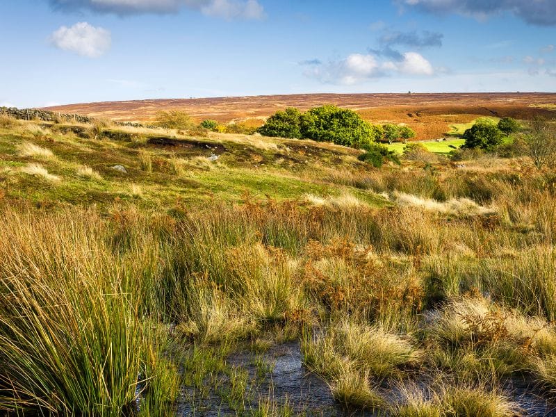 North York Moors Goathland. North York Moors Goathland.