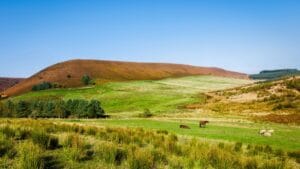 Walking Trails Around Goathland