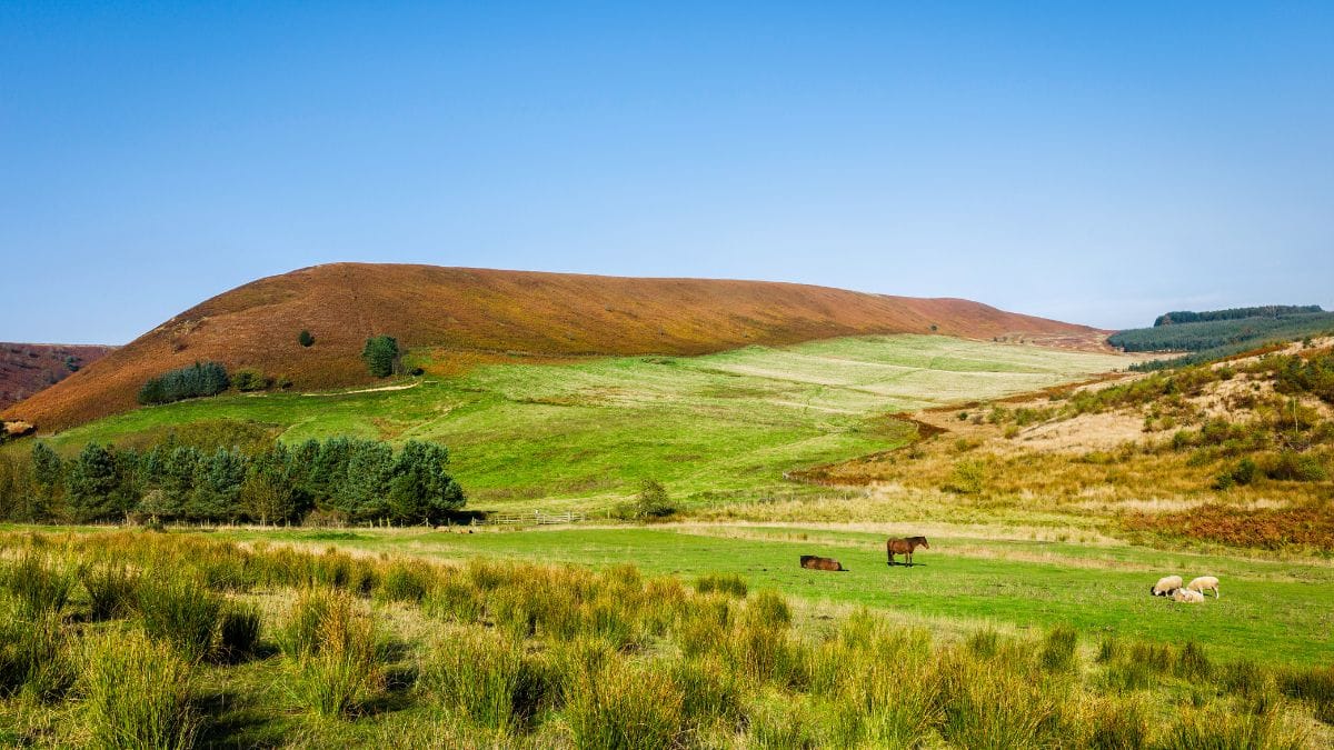 Walking Trails Around Goathland
