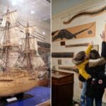 Interesting Things You Must See in Whitby Museum