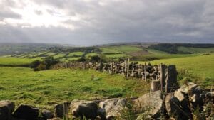 North York Moors Fencing