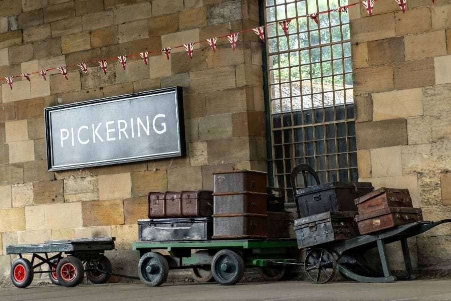 Pickering Bunting. Pickering Bunting.