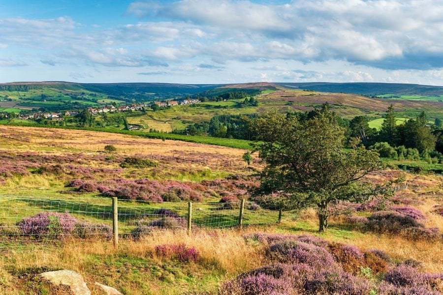 The North York Moors. The North York Moors.