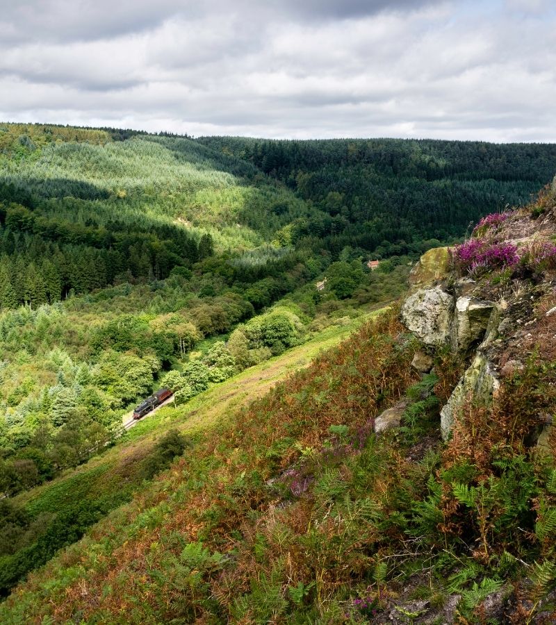 North York Moors National Park Own a holiday lodge in the North York Moors National Park