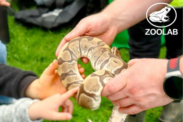 zoolab
