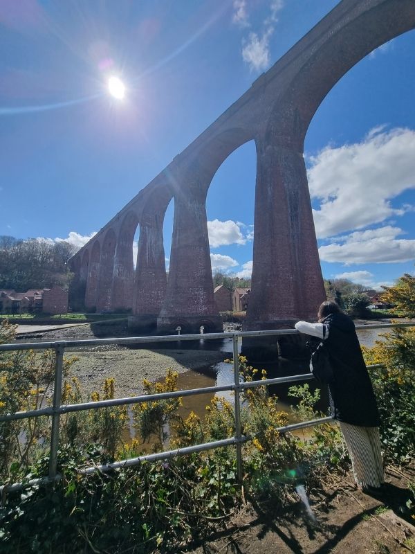 Larpool Viaduct Passing under Larpool Viaduct on the Whitby to Ruswarp circular walk