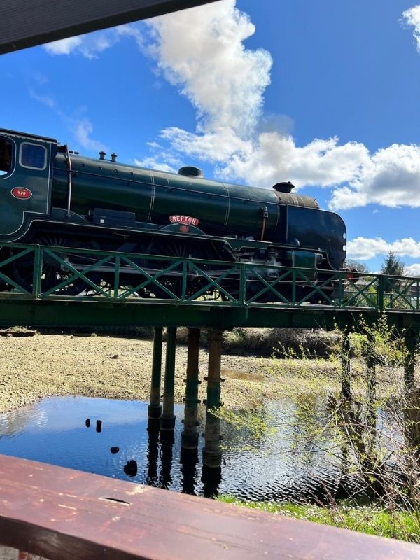NYMR steam train NYMR steam train passing though Ruswarp