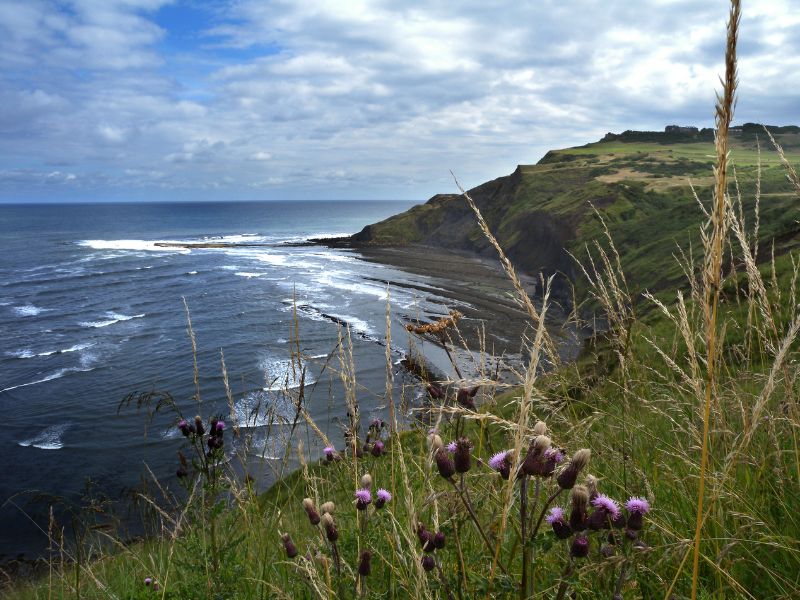 Ravenscar Cleveland Way. Ravenscar as viewed from the Cleveland Way.