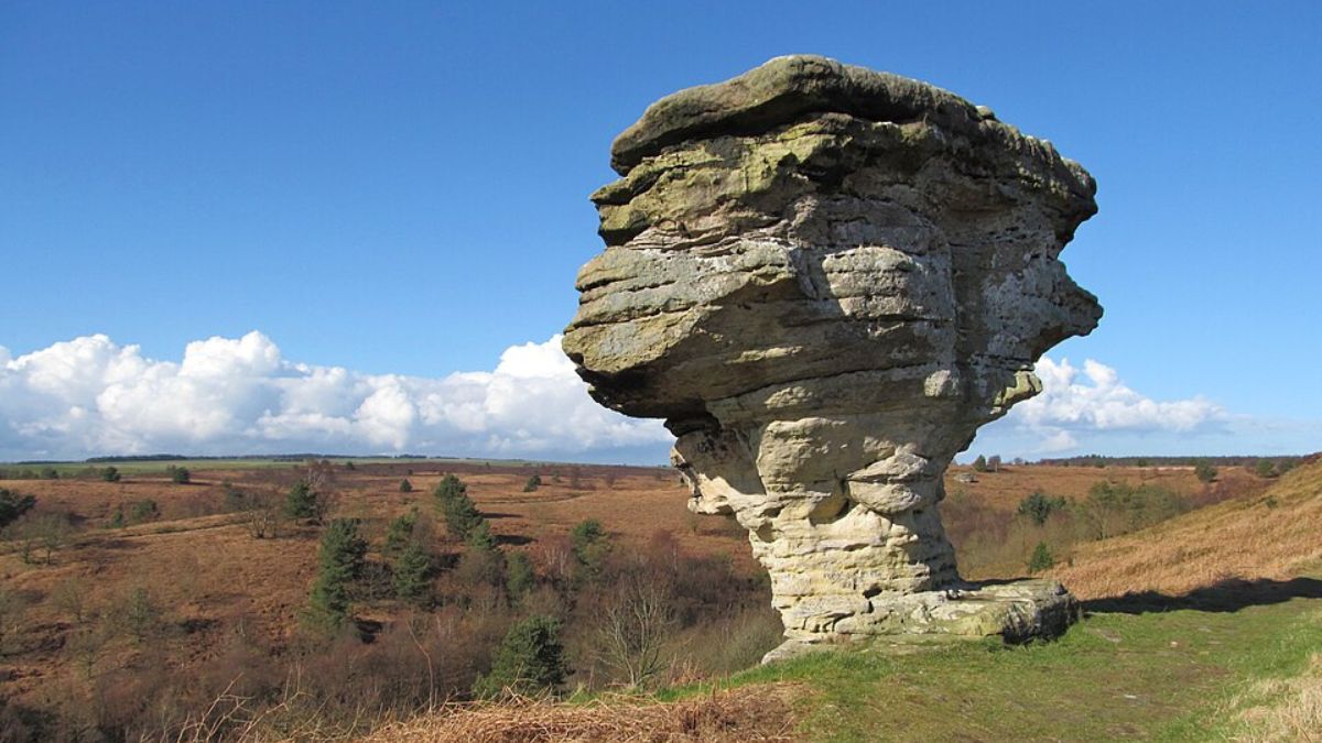 Dalby Forest and The Bridestones Trail Circular Walk